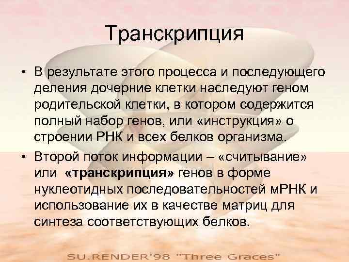 Транскрипция • В результате этого процесса и последующего деления дочерние клетки наследуют геном родительской