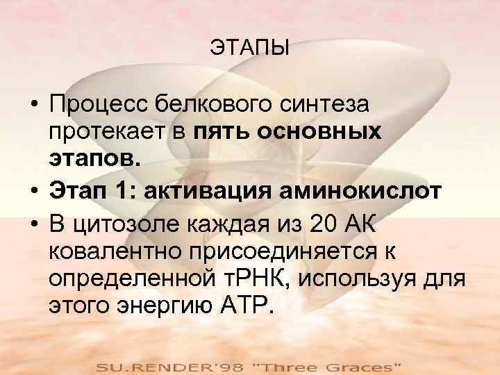ЭТАПЫ • Процесс белкового синтеза протекает в пять основных этапов. • Этап 1: активация