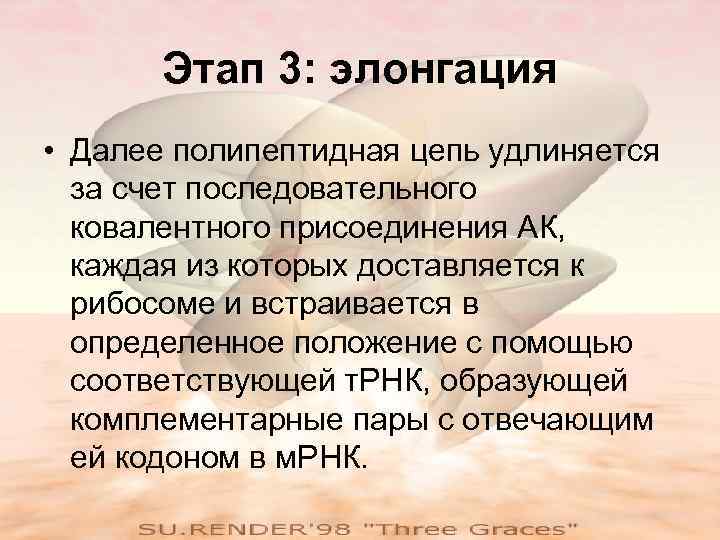 Этап 3: элонгация • Далее полипептидная цепь удлиняется за счет последовательного ковалентного присоединения АК,