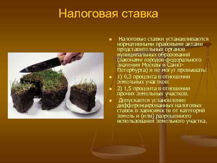 Налоговая ставка Налоговые ставки устанавливаются нормативными правовыми актами представительных органов муниципальных образований (законами городов