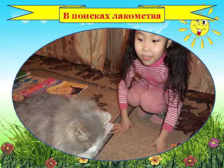 В поисках лакомства 