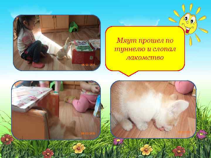 Мяут прошел по туннелю и слопал лакомство 