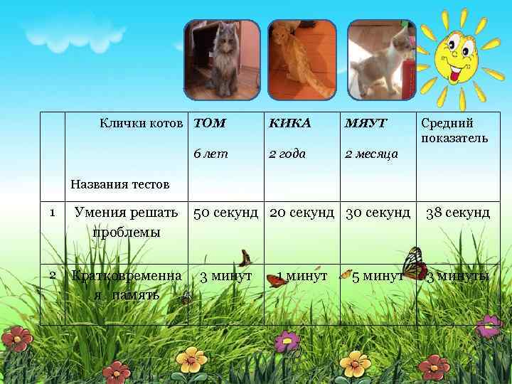 Клички котов ТОМ 6 лет КИКА МЯУТ 2 года Средний показатель 2 месяца Названия