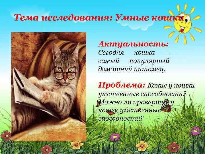 Тема исследования: Умные кошки. Актуальность: Сегодня кошка – самый популярный домашний питомец. Проблема: Какие