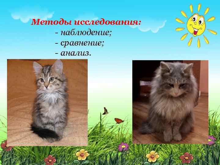 Методы исследования: - наблюдение; - сравнение; - анализ. 