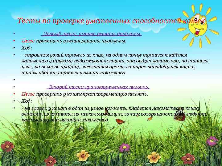 Тесты по проверке умственных способностей кошек • • • Первый тест: умение решать проблемы.