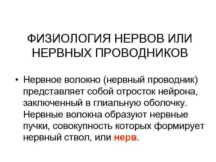 ФИЗИОЛОГИЯ НЕРВОВ ИЛИ НЕРВНЫХ ПРОВОДНИКОВ • Нервное волокно (нервный проводник) представляет собой отросток нейрона,