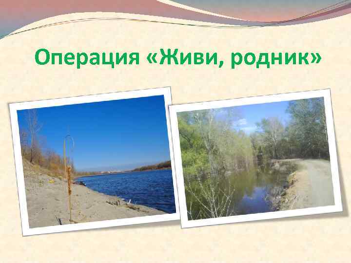 Операция «Живи, родник» 