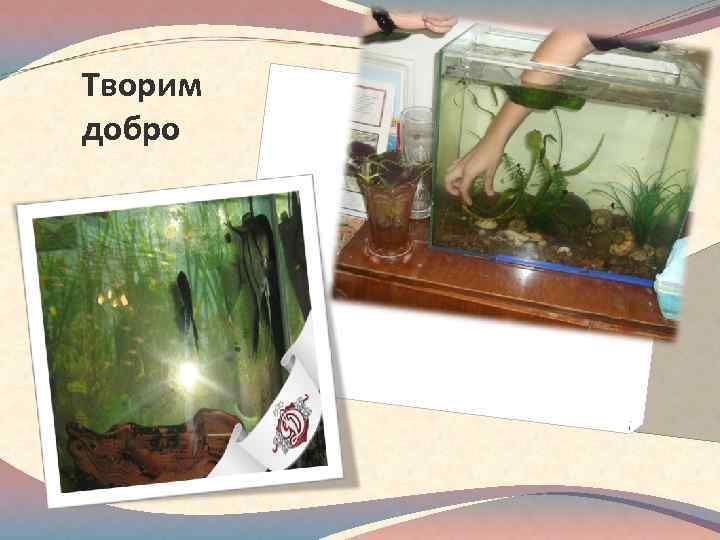 Творим добро 