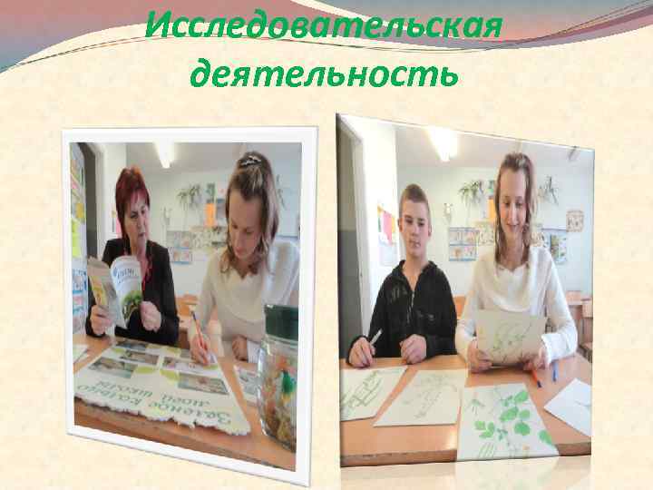 Исследовательская деятельность 