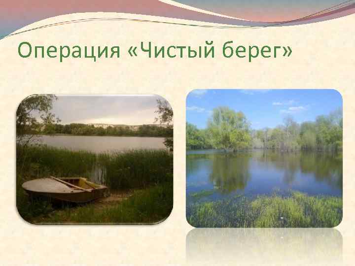 Операция «Чистый берег» 