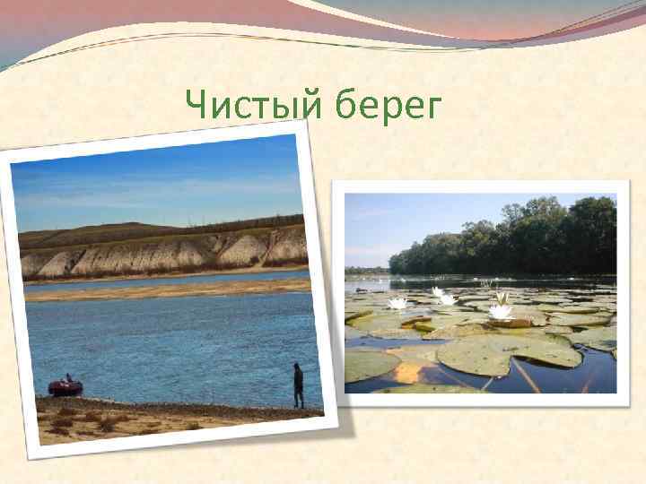 Чистый берег 
