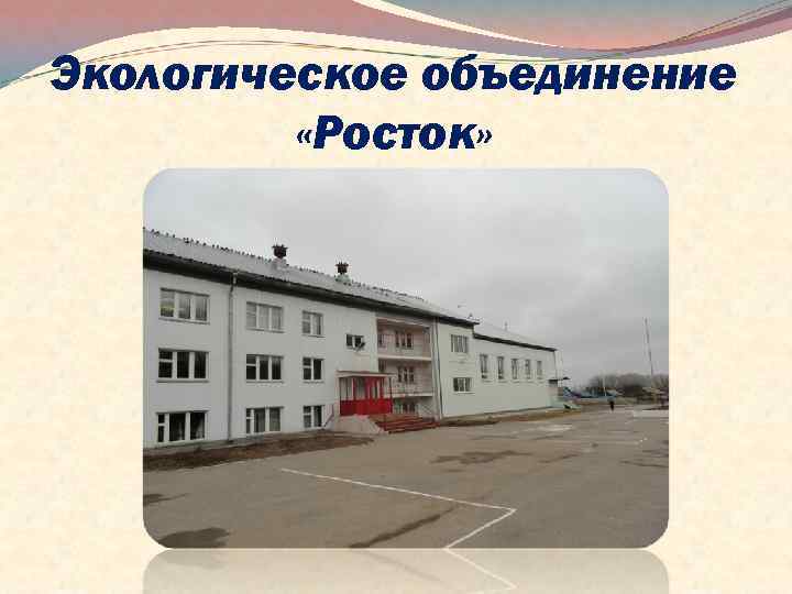 Экологическое объединение «Росток» 