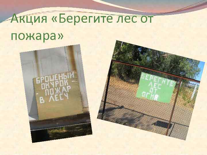 Акция «Берегите лес от пожара» 