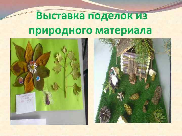 Выставка поделок из природного материала 