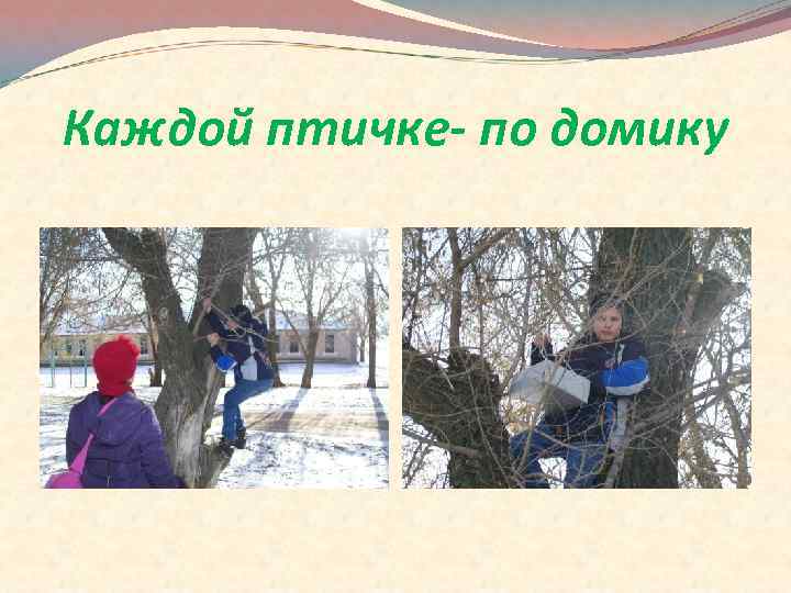 Каждой птичке- по домику 