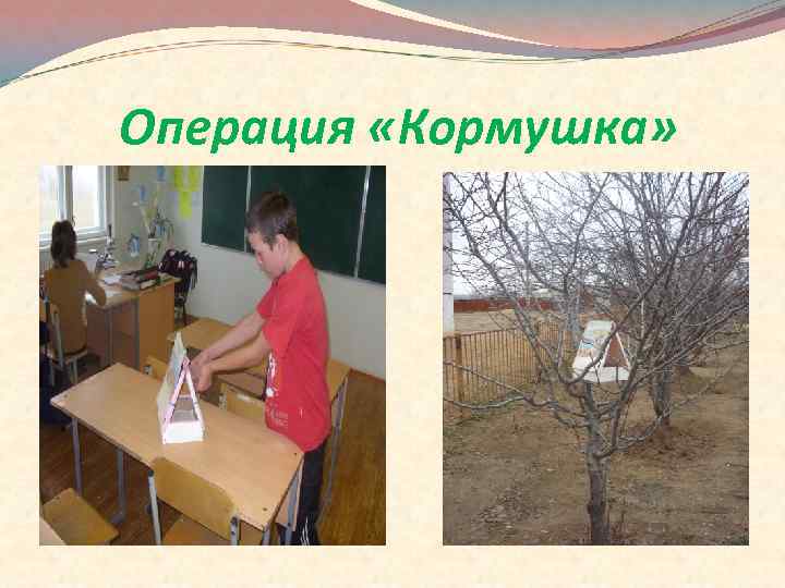 Операция «Кормушка» 