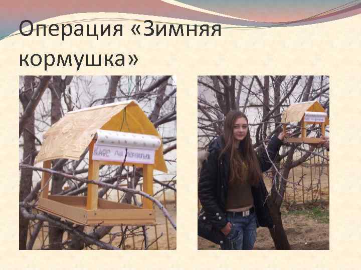 Операция «Зимняя кормушка» 