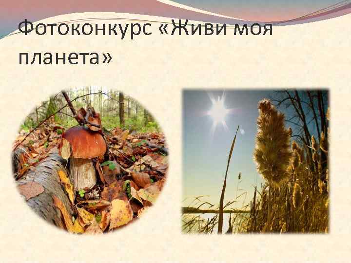 Фотоконкурс «Живи моя планета» 