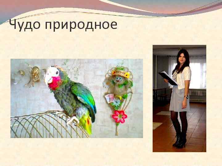 Чудо природное 