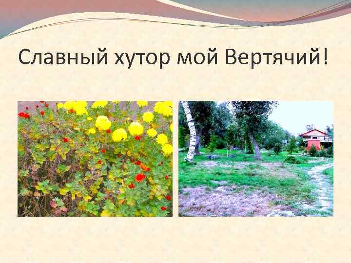 Славный хутор мой Вертячий! 