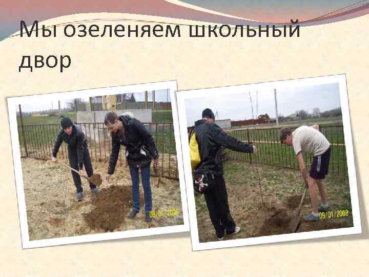 Мы озеленяем школьный двор 