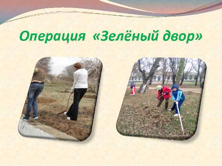 Операция «Зелёный двор» 