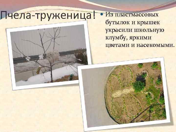Пчела-труженица! Из пластмассовых бутылок и крышек украсили школьную клумбу, яркими цветами и насекомыми. 
