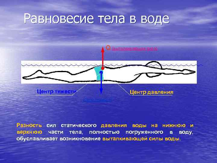 Силы на теле в воде. Равновесие тела в воде. Условие равновесия тела в воде. Статическое плавание. Силы действующие на пловца.