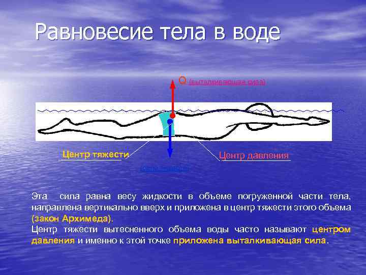 Равновесие тел центр тяжести тела. Равновесие тела в воде. Центр тяжести воды. Условие равновесия тела в воде. Равновесие тел.