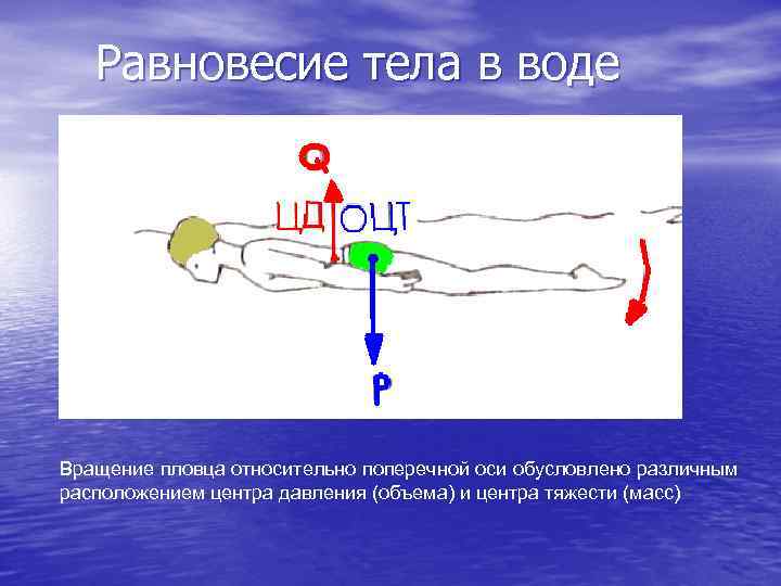 Вод равновесие. Равновесие тела в воде. Условие равновесия в воде. Равновесие тел. Равновесие на воде.