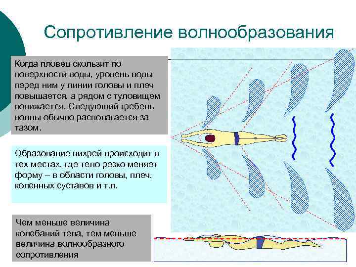 Сопротивление волнообразования Когда пловец скользит по поверхности воды, уровень воды перед ним у линии