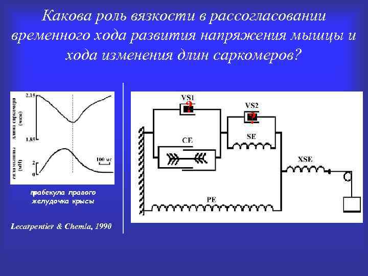 Какова роль вязкости в рассогласовании временного хода развития напряжения мышцы и хода изменения длин