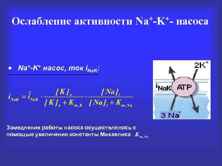 Ослабление активности Na+-K+- насоса Na+-K+ насос, ток i. Na. K: ___________ Замедление работы насоса