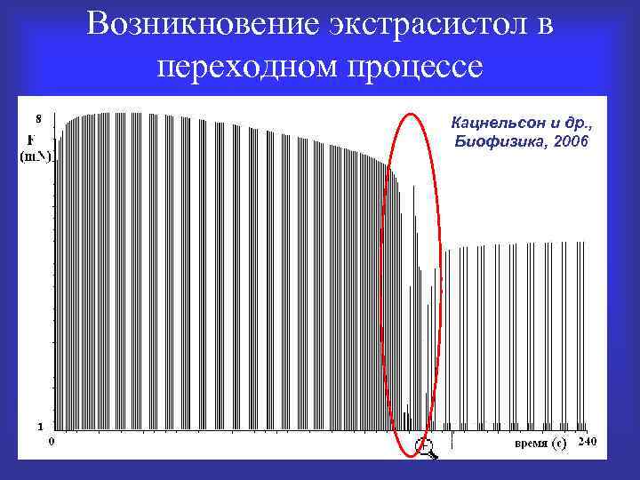 Возникновение экстрасистол в переходном процессе Кацнельсон и др. , Биофизика, 2006 