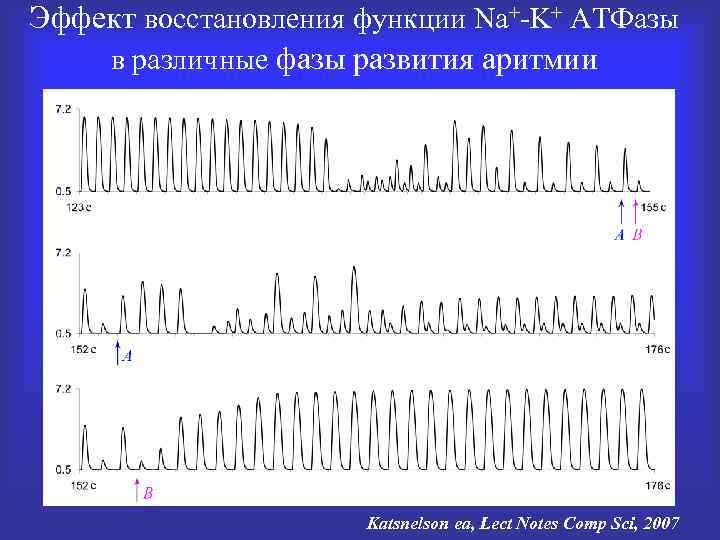 Эффект восстановления функции Na+-K+ АТФазы в различные фазы развития аритмии Katsnelson ea, Lect Notes