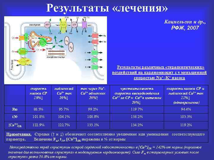 Результат терапии. Na k насосу Результаты. Na/k насос сокращение. Кацнельсон классификация. Скорости в Ica в норме.