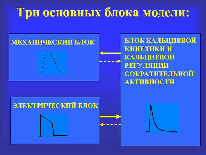 Три основных блока модели: МЕХАНИЧЕСКИЙ БЛОК ЭЛЕКТРИЧЕСКИЙ БЛОК КАЛЬЦИЕВОЙ КИНЕТИКИ И КАЛЬЦИЕВОЙ РЕГУЛЯЦИИ СОКРАТИТЕЛЬНОЙ