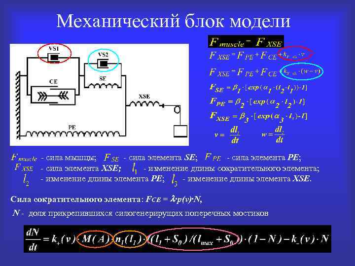 Элементы силы