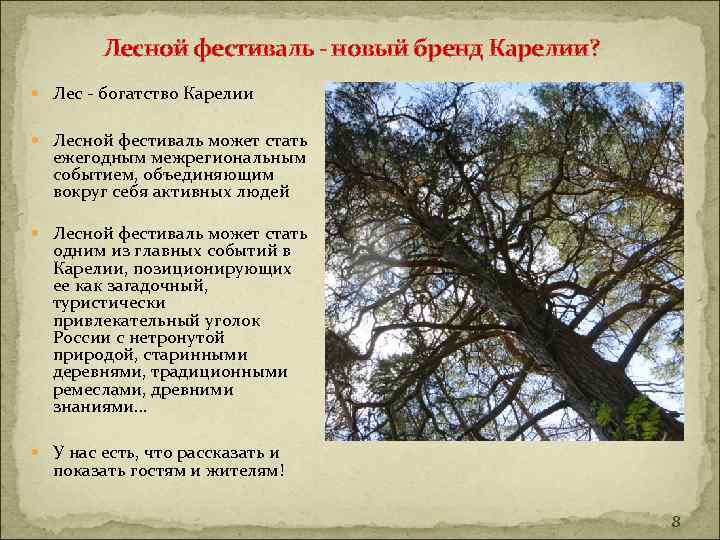  Лесной фестиваль - новый бренд Карелии? Лес - богатство Карелии Лесной фестиваль может