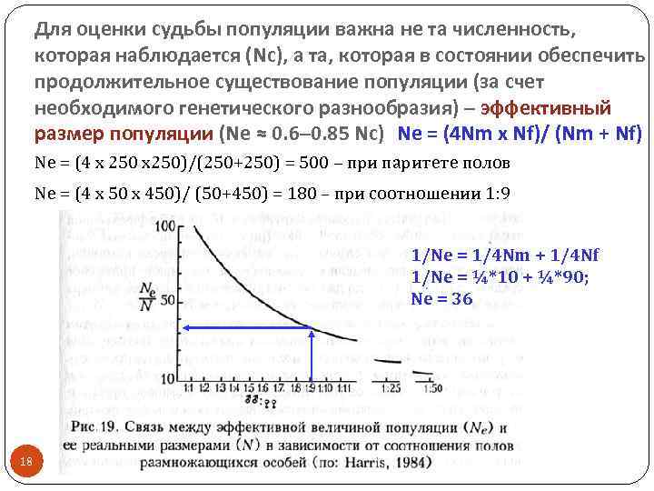 Для оценки судьбы популяции важна не та численность, которая наблюдается (Nc), а та, которая