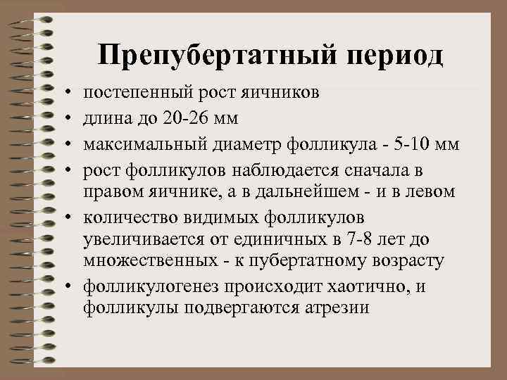 Препубертатный период • • постепенный рост яичников длина до 20 -26 мм максимальный диаметр