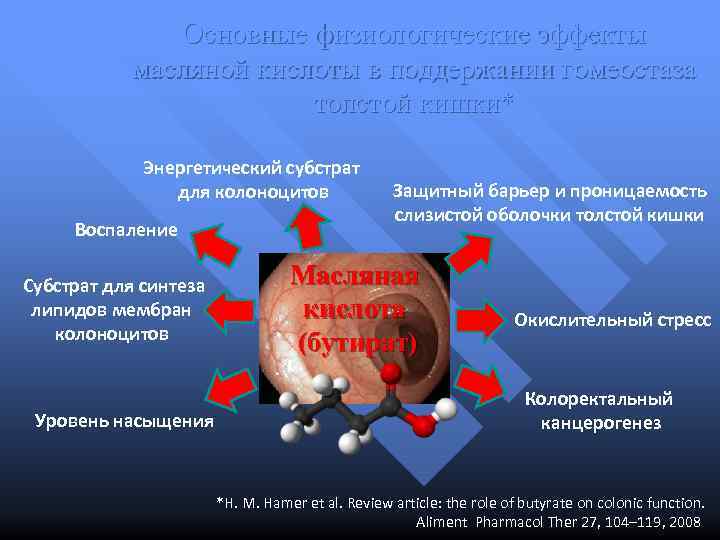 Основные физиологические эффекты масляной кислоты в поддержании гомеостаза толстой кишки* Энергетический субстрат для колоноцитов