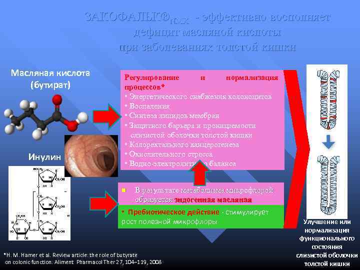 ЗАКОФАЛЬК®NMX - эффективно восполняет дефицит масляной кислоты при заболеваниях толстой кишки Масляная кислота (бутират)
