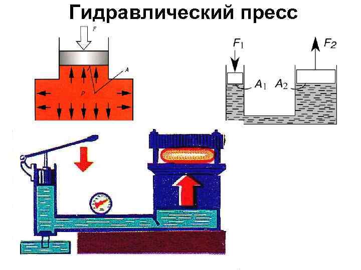 Гидравлический пресс 