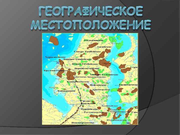  ГЕОГРАФИЧЕСКОЕ МЕСТОПОЛОЖЕНИЕ 