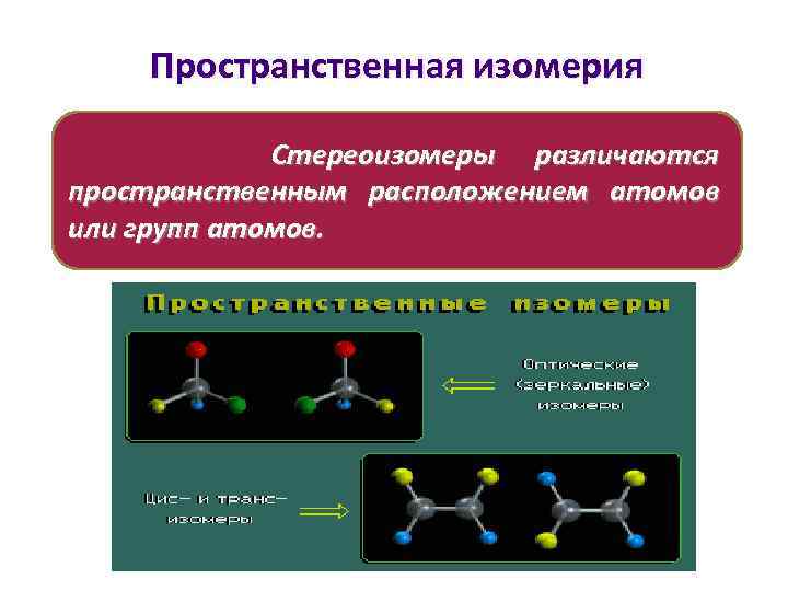  Пространственная изомерия Стереоизомеры различаются пространственным расположением атомов или групп атомов. 