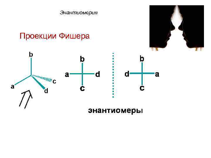  Энантиомерия Проекции Фишера 