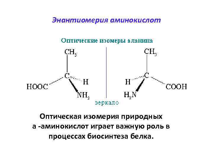  Энантиомерия аминокислот Оптическая изомерия природных a -аминокислот играет важную роль в процессах биосинтеза