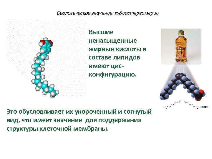  Биологическое значение π-диастереомерии Высшие ненасыщенные жирные кислоты в составе липидов имеют цис- конфигурацию.